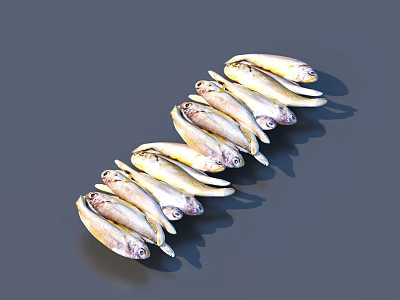 fish dried fish food 3d model