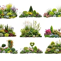 Diverse Flower and Plant Arrangements with Shaped Greenery and Colorful Blooms