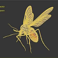 Mosquito With Black And White Markings Red Abdomen Yellow Black Veined Wings On Dark Background