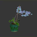 Purple Orchid Plant With Green Leaves And Purple Flowers In Blue Perforated Pot
