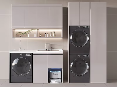 Modern Bathroom Cabinetry With Washing Machine Dryer Sink Faucet And Storage 3d model