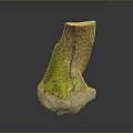 Natural Wooden Tree Stump Decorative Piece With Stone Base And Green Moss Texture