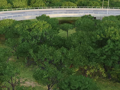 Lush Green Trees With Dense Foliage in Park Grassland and Pathway Area 3d model