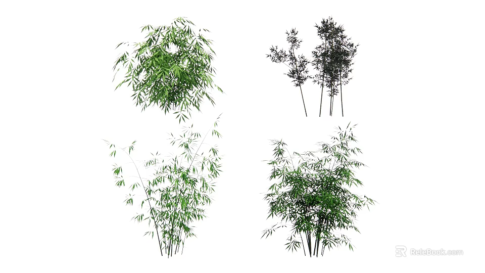 Different Varieties of Bamboo with Lush Green Foliage and Tall Stems 3d model 