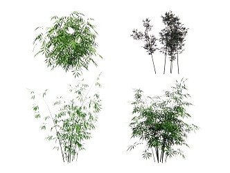 Bamboo 3d model