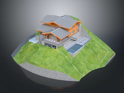 Modern Hillside House With Gray Roof Wooden Exterior Pool And Steps On Green Slope 3d model