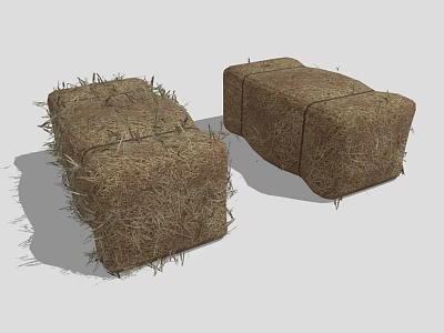 Natural Agricultural Plant Hay Bales As Essential Farm Storage And Feeding Material 3d model