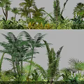 Lush Tropical Plant Combination With Varied Ferns Palms And Green Foliage