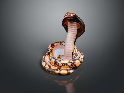 Hooded Cobra Reptile With Coiled Body Brown Yellow Scales And Shiny Reflection On Dark Background 3d model