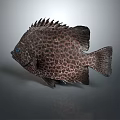 Spotted Fish with Intricate Dark Pattern and Sharp Dorsal Fin on Smooth Gray Surface 3d model