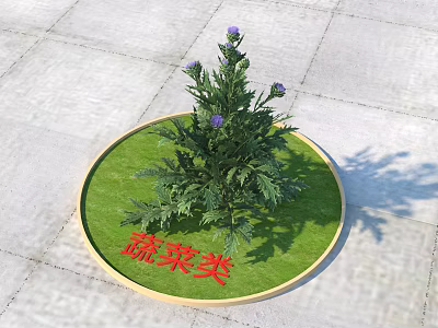 Vegetable Plant with Purple Flowers Growing on Circular Green Lawn and Gray Pavement 3d model