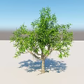Lush Arbor With Green Leaves And Wooden Trunk Against Blue Sky On Light Ground