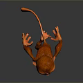 Monkey Cartoon Monkey Anime Monkey Stylized Monkey Fantasy Style Monkey Toy 3d model