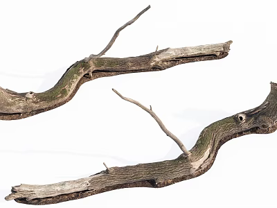 Natural Stone And Wooden Curved Branches With Mossy Texture For Decor 3d model