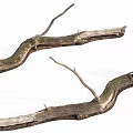 Natural Stone And Wooden Curved Branches With Mossy Texture For Decor