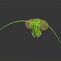Green Insect Head With Long Antennae Large Compound Eyes Shiny Surface On Dark Background 3d model