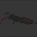 Modern spade carapace stag beetle stag shovel beetle 3d model