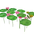 Beautiful Vibrant Pink Lotus Flowers With Green Leaves In Natural Scene