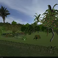 Lush Shrubs In Outdoor Garden With Palm Trees Flowering Trees Green Grass And Blue Sky