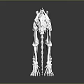 White Feline Animal Skeleton in Standing Pose with Detailed Anatomical Structure and Reflection