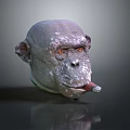 3D Rendered Ape Head Model With Textured Skin And Cigar In Mouth