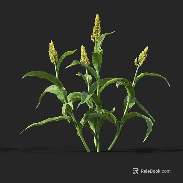 Green Leafy Flowering Plant With Yellow Spikelets In Natural Garden 3d model 
