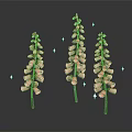 Three Pink Foxglove Plants With Green Stems Bell Flowers And Shiny Accents On Dark Background