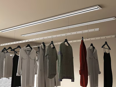 Closet With Hanging Clothes And Track Lights 3d model