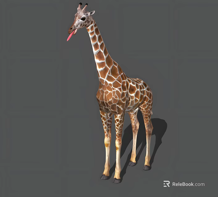 Tall Giraffe With Long Neck And Spotted Pattern Standing With Extended Tongue 3d model 