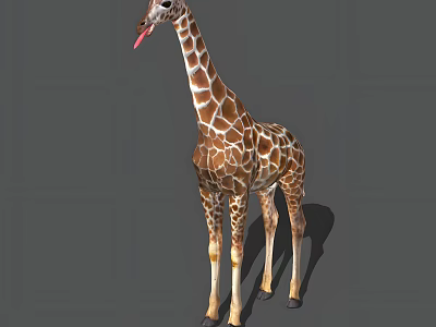 Tall Giraffe With Long Neck And Spotted Pattern Standing With Extended Tongue 3d model