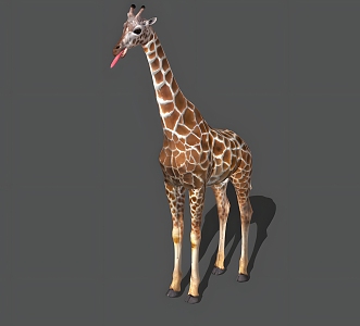 Giraffe Realistic Animal Deer Giraffe Zoo Mammal Reptile Wild 3d model