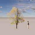 Tall Arbor With Yellow And Green Leaves And A Pedestrian Standing Beside