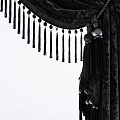 Elegant Dark Patterned Velvet Curtains With Tassel Trim And Drapery Design