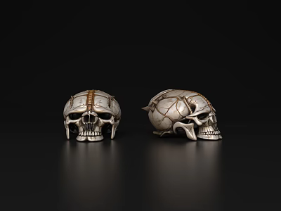 Two Decorative Skulls With Gold Silver Accents Intricate Patterns On Black Reflective Background 3d model