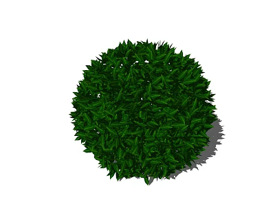 Round Green Shrub with Dense Lush Foliage for Garden Landscaping Decoration 3d model