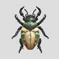Green And Yellow Horned Reptile With Detailed Shell And Leg Structure