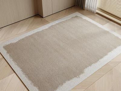 Neutral Toned Square Rug With White Trim In Modern Interior 3d model