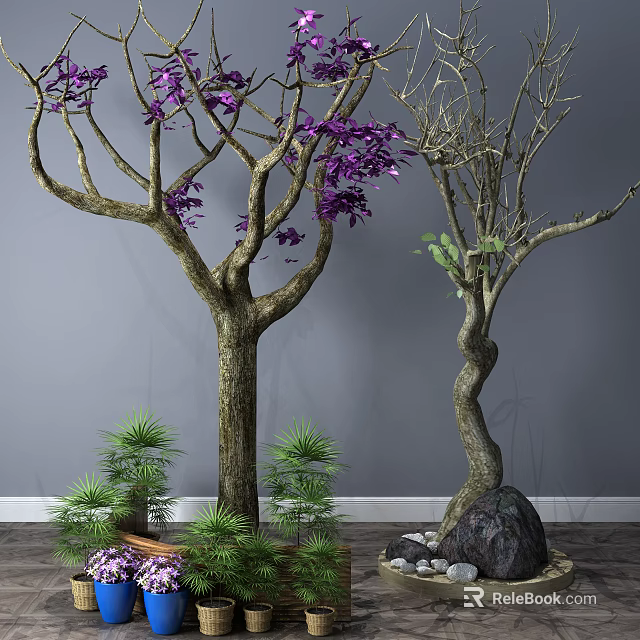 Trees Featuring Purple Leaves and Twisted Trunk with Small Green Plants on Wooden Floor 3d model 
