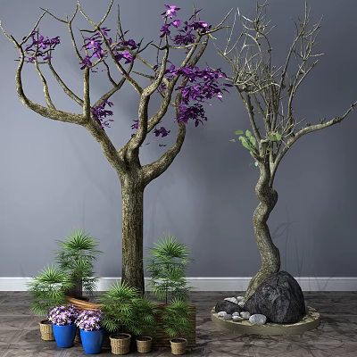 Trees Featuring Purple Leaves and Twisted Trunk with Small Green Plants on Wooden Floor 3d model
