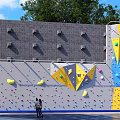 Colorful Climbing Wall In Happy Residential Community With Trees And Colorful Holds