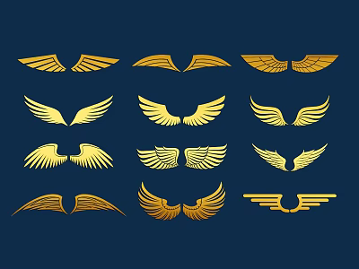 Animal Wall Decor Featuring Multiple Golden Wing Designs For Interior Decoration 3d model