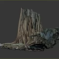 Natural Wood and Stone Artistic Sculpture with Intricate Root Details and Textures