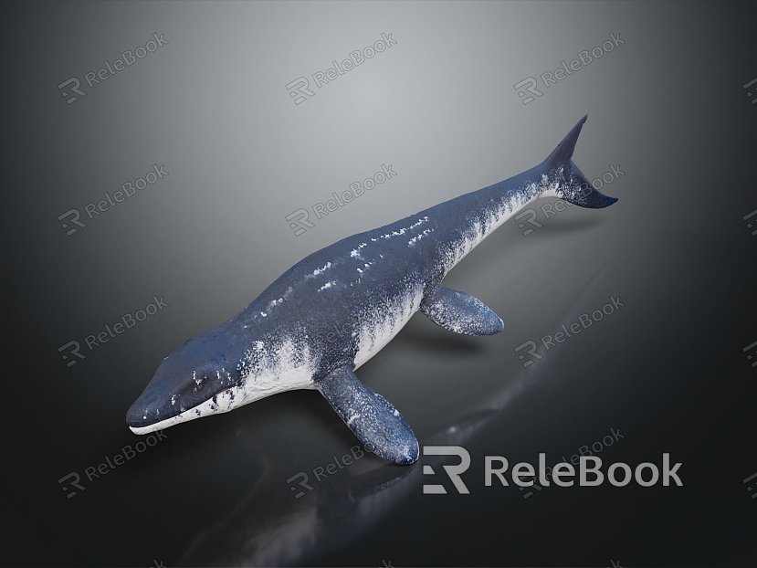 whale cartoon whale mammal marine mammal marine animal fish freshwater fish marine fish model