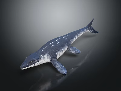 Prehistoric Aquatic Animal with Long Body Flippers and Smooth Skin Texture in 3D Model 3d model