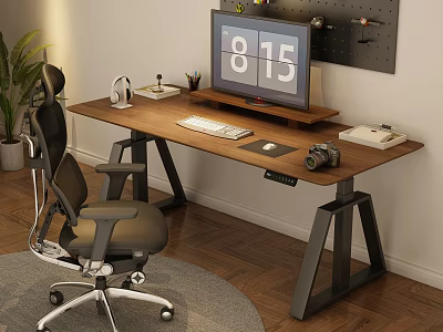 Cozy Home Study Room With Wooden Desk Computer Monitor Office Chair Green Plant And Rug 3d model