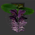 Elegant Purple Orchid Flowers In Black Vase With Green Leaves