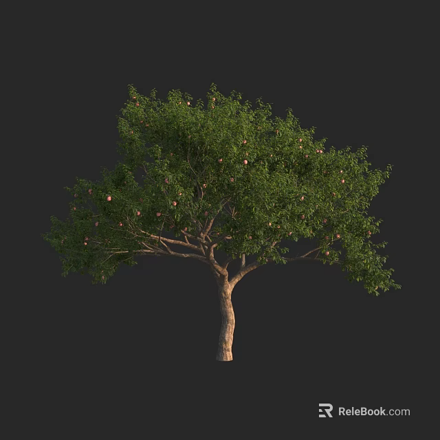Tall Arbor Tree with Lush Green Foliage and Ripe Fruits on Brown Trunk 3d model 