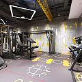 Modern Gym Interior With Fitness Equipment Colorful Graffiti Wall Wooden Floor Yellow Ladder And TV