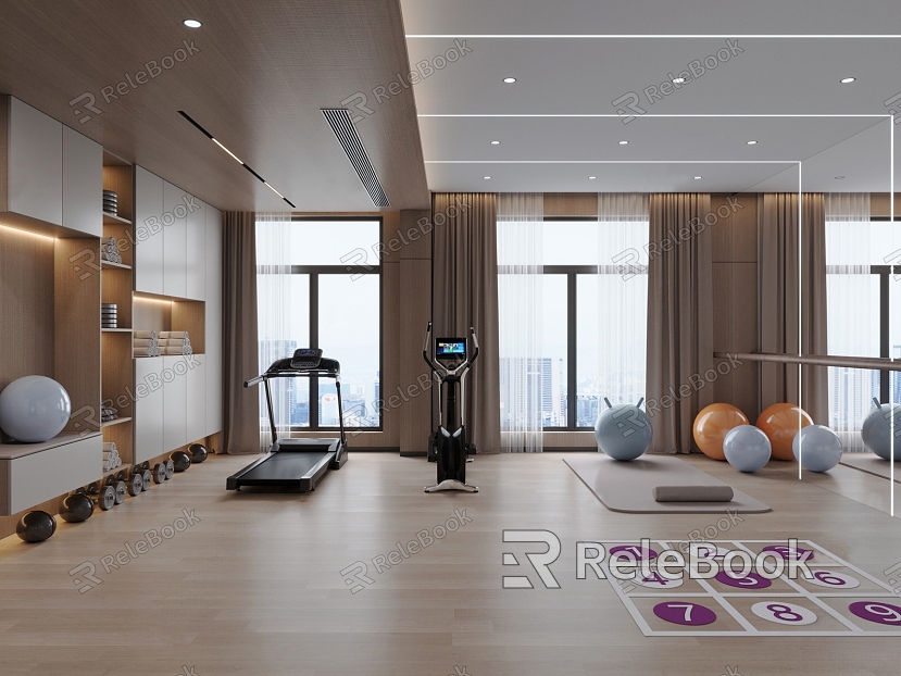 Modern Gym Home Gym model