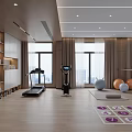 Modern Recreation Room Interior With Treadmill Exercise Balls Numbered Yoga Mat And Dumbbells